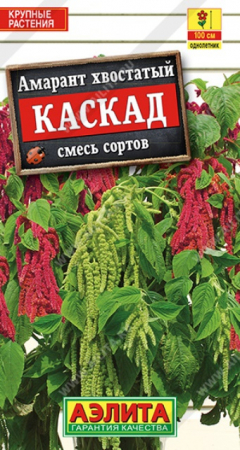 Амарант Каскад смесь (Аэлита) - Сезон у Дачи