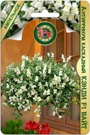 Антирринум каскадный Кэнди F1 Вайт (Биотехника) - Сезон у Дачи