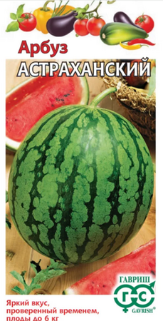 Арбуз Астраханский (Гавриш) - Сезон у Дачи