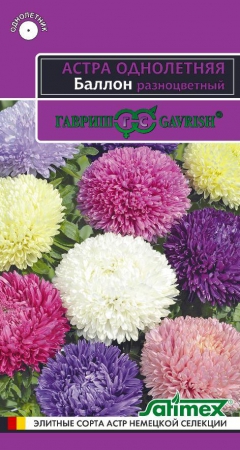 Астра Баллон разноцветный (Гавриш) - Сезон у Дачи