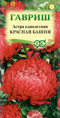 Астра Башня Красная 0,3гр (Гавриш) - Сезон у Дачи