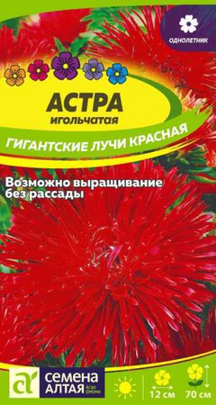 Астра Гигантские Лучи Красная 0,2гр (СемАлт) - Сезон у Дачи