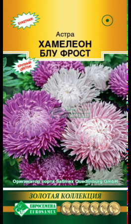 Астра ХАМЕЛЕОН Блу Фрост 5шт (Евросемена) - Сезон у Дачи