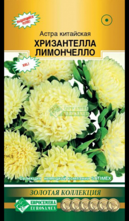 Астра ХРИЗАНТЕЛЛА Лимончелло китайская (Евросемена) - Сезон у Дачи