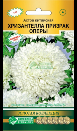 Астра ХРИЗАНТЕЛЛА Призрак Оперы китайская (Евросемена) - Сезон у Дачи