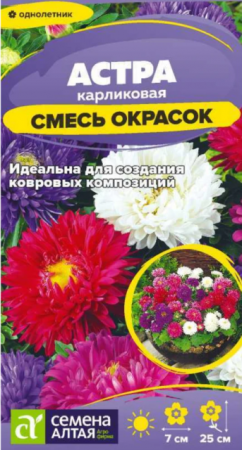 Астра Карликовая смесь (Сем Алт) - Сезон у Дачи
