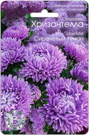 Астра китайская Хризантелла Сиреневый туман 30шт (Биотех) - Сезон у Дачи