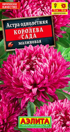 Астра Королева Сада малиновая 0,2гр (Аэлита) - Сезон у Дачи