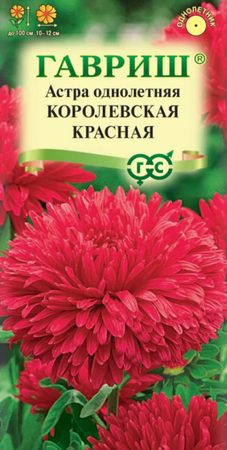 Астра Королевская красная (Гавриш) - Сезон у Дачи