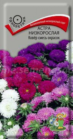 Астра Ковер смесь низкорослая 0,2г (ПОИСК) - Сезон у Дачи