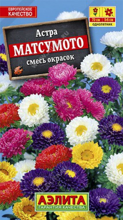 Астра кустовая Матсумото смесь - Сезон у Дачи
