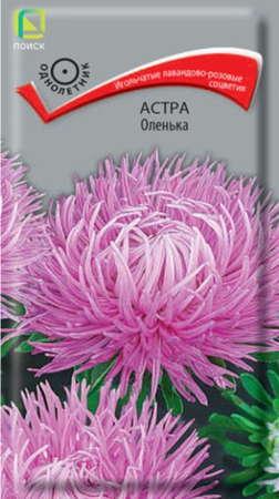 Астра Оленька (Поиск) - Сезон у Дачи