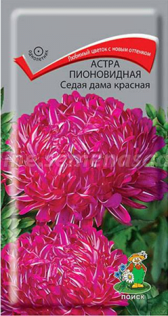 Астра пионовидная Седая дама красная - Сезон у Дачи