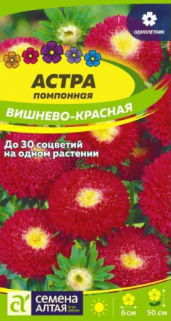 Астра Помпонная Вишнево-Красная 0,2гр (СемАлт) - Сезон у Дачи