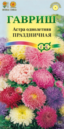 Астра Праздничная смесь (Гавриш) - Сезон у Дачи