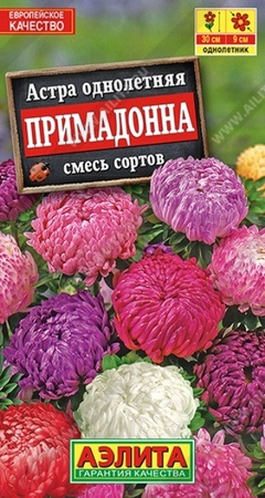 Астра Примадонна смесь (Аэлита) - Сезон у Дачи