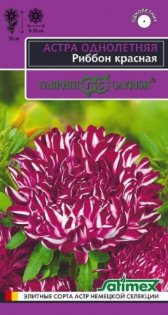 Астра Риббон красная (Гавриш) - Сезон у Дачи