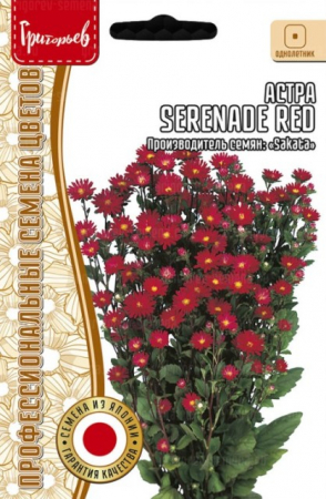 Астра Serenade Red /Sakata (Григорьев) - Сезон у Дачи