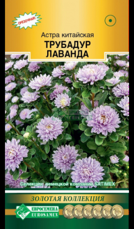 Астра Трубадур Лаванда китайская (Евросемена) - Сезон у Дачи