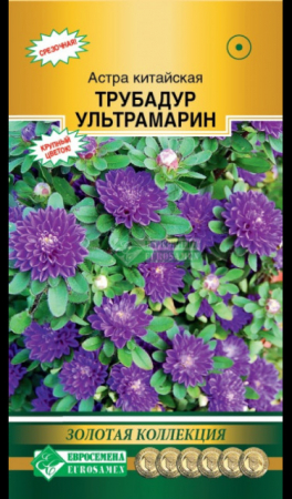 Астра Трубадур Ультрамарин китайская (Евросемена) - Сезон у Дачи