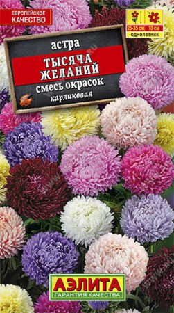 Астра Тысяча желаний карликовая смесь (Аэлита) - Сезон у Дачи