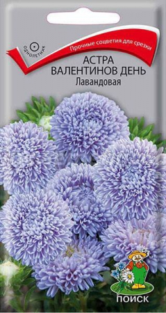 Астра однолетняя Валентинов день Лавандовая  0,2гр (ПОИСК) - Сезон у Дачи