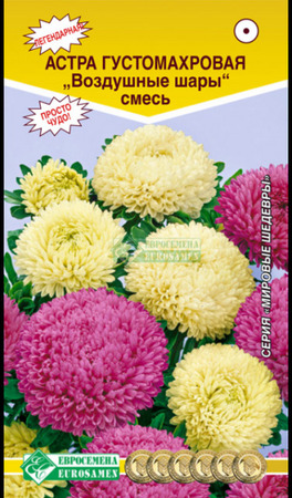 Астра Воздушные шары густомахровая смесь (Евросемена) - Сезон у Дачи