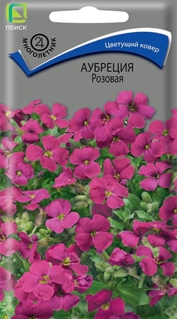 Аубреция Розовая (Поиск) - Сезон у Дачи