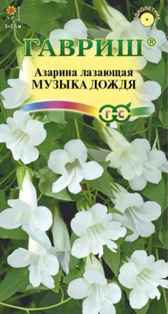 Азарина Музыка дождя (Гавриш) - Сезон у Дачи