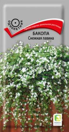 Бакопа Снежная лавина (Поиск) - Сезон у Дачи