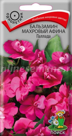 Бальзамин Афина Паллада махровый (ПОИСК) - Сезон у Дачи