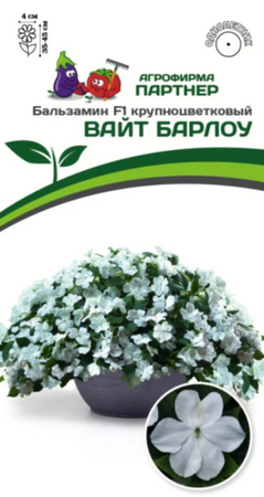 Бальзамин Уоллера Вайт Барлоу F1 крупноцветковый (Партнер) - Сезон у Дачи