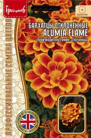 Бархатцы Alumia Flame отклонённые - Сезон у Дачи