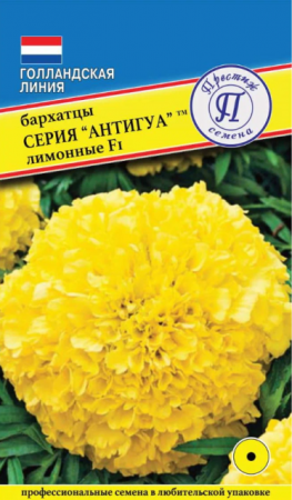 Бархатцы Антигуа F1 Лимонные прямостоячие (Престиж) - Сезон у Дачи