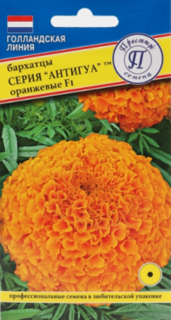 Бархатцы Антигуа F1 Оранжевые прямостоячие (Престиж) - Сезон у Дачи