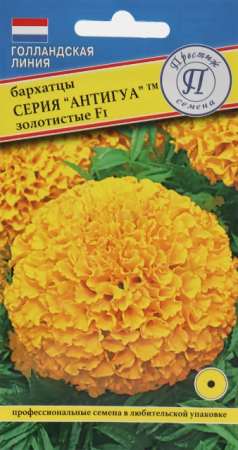 Бархатцы Антигуа F1 Золотистые прямостоячие (Престиж) - Сезон у Дачи