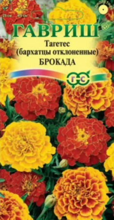 Бархатцы Брокада Смесь (Гавриш) - Сезон у Дачи
