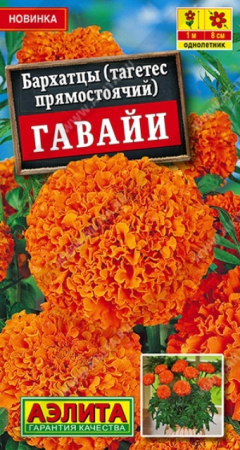 Бархатцы Гавайи прямостоячие (Аэлита) - Сезон у Дачи