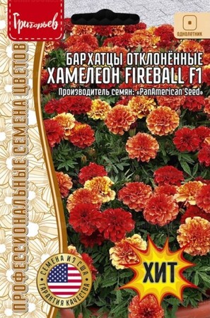 Бархатцы Хамелеон Fireball F1 - Сезон у Дачи