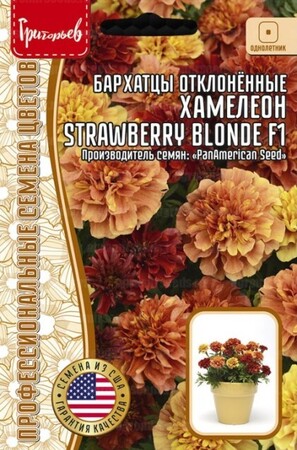 Бархатцы Хамелеон Strawberry Blonde F1 - Сезон у Дачи