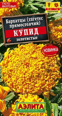 Бархатцы Купид золотистые прямостоячие (Аэлита) - Сезон у Дачи