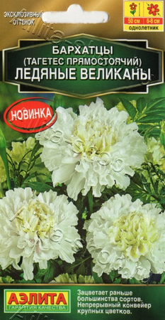 Бархатцы Ледяные великаны прямостоячие (Аэлита) - Сезон у Дачи