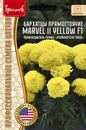 Бархатцы Марвел II Yellow F1 прямостоячие (Marvel) /PanAmerican Seed (Григорьев) - Сезон у Дачи