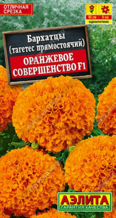 Бархатцы Оранжевое совершенство F1 прямостоячие (Аэлита) - Сезон у Дачи