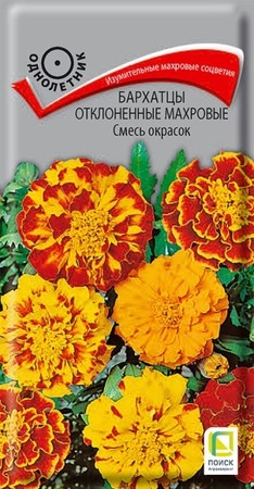 Бархатцы Отклоненные махровые смесь (Поиск) - Сезон у Дачи