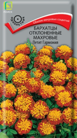 Бархатцы Петит Гармония отклоненные (Поиск) - Сезон у Дачи