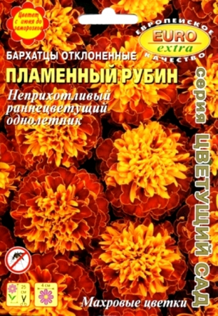 Бархатцы Пламенный Рубин отклоненные 0,1гр (АэлитаЭкстра) - Сезон у Дачи