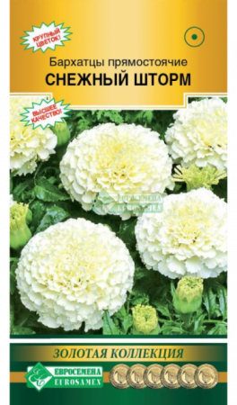 Бархатцы Снежный шторм прямостоячие (Евросемена) - Сезон у Дачи