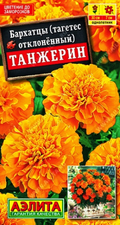 Бархатцы Танжерин обильноцветущие 0,3гр (Аэлита) - Сезон у Дачи