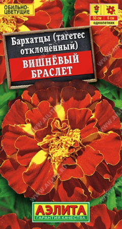 Бархатцы Вишневый браслет отклоненные (Аэлита) - Сезон у Дачи